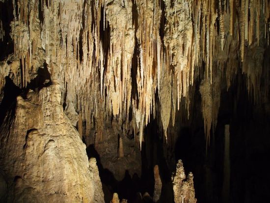 Mammoth Cave