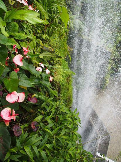 Cloud Forest im Gardens by the Bay