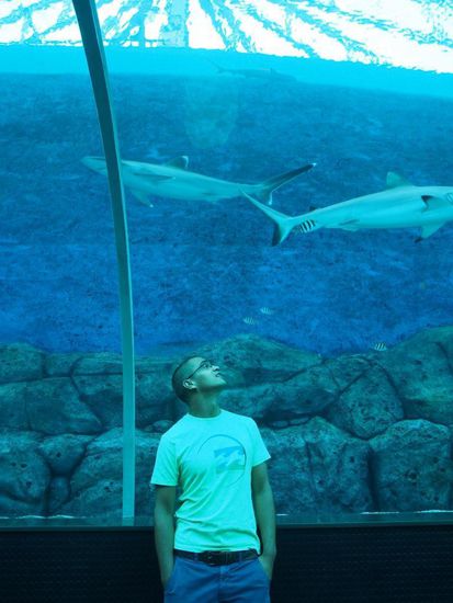 Im S.E.A. Aquarium auf Sentosa Island