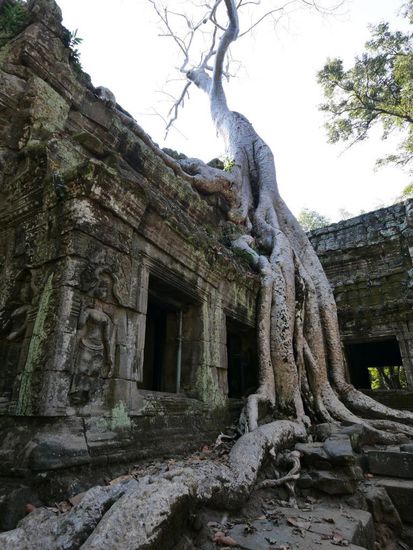 Ta Prohm