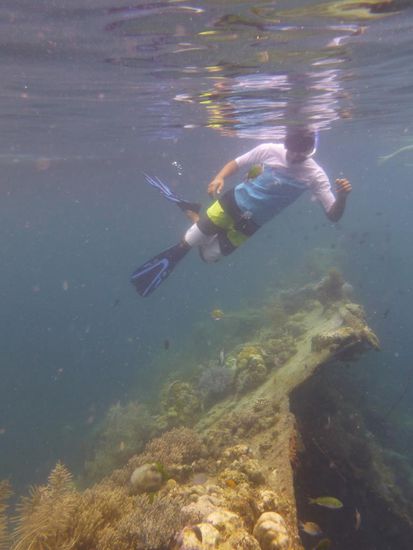 Schnorcheln bei einem Wrack