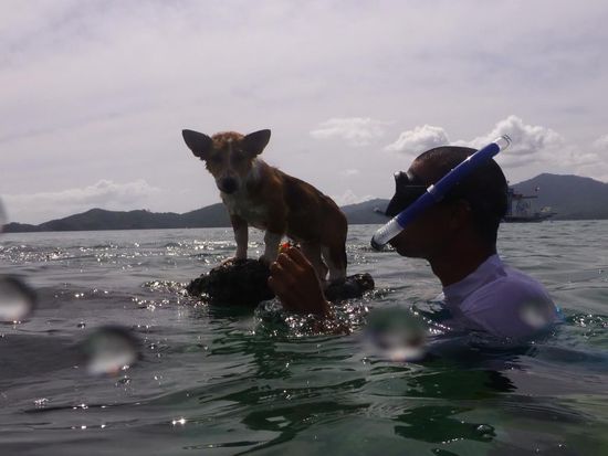 Schnorcheln mit Paty