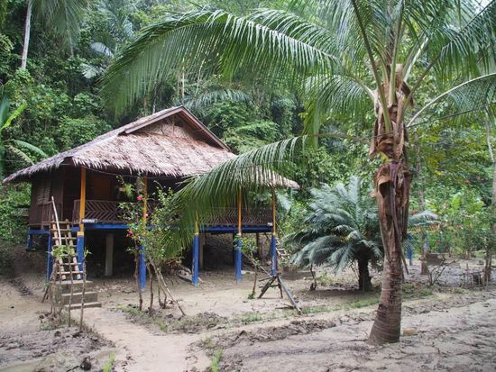 Unser Bungalow beim Nuts Huts