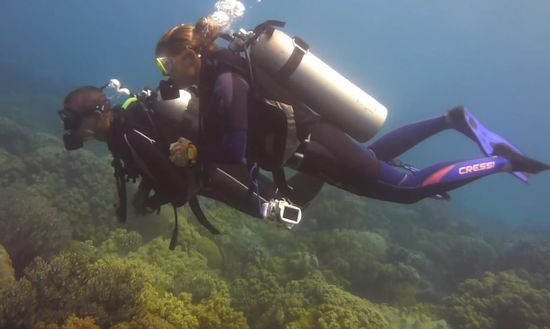 Tauchen bei Apo Island
