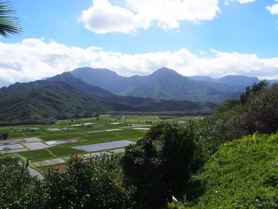 Aussicht über die Insel
