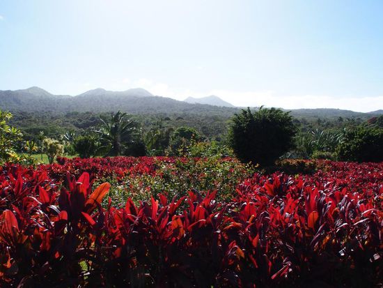 Aussicht von Hana zum Vulkan