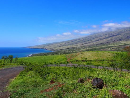 Vulkanhänge an der Südküste