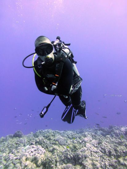 Tauchen am Molokini Krater