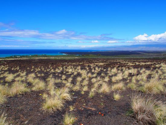 Aussicht über die Insel