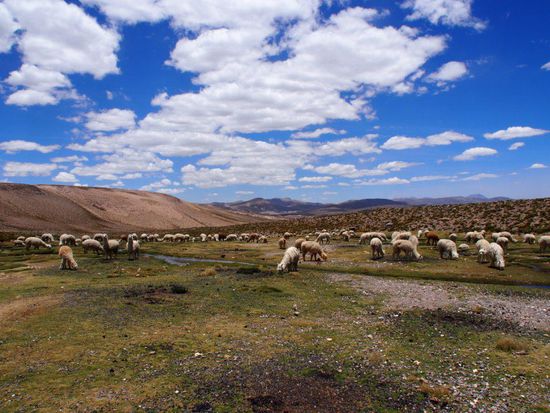 Auf der Fahrt zum Colca Canyon
