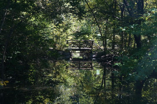 in den Tiefen des Central Parks