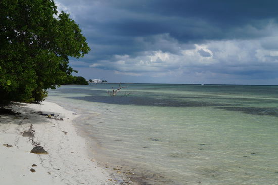 Anne's Beach auf Islamorada