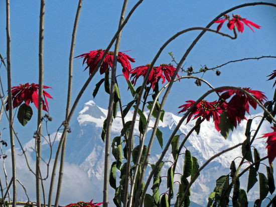 Sonne und Berge satt