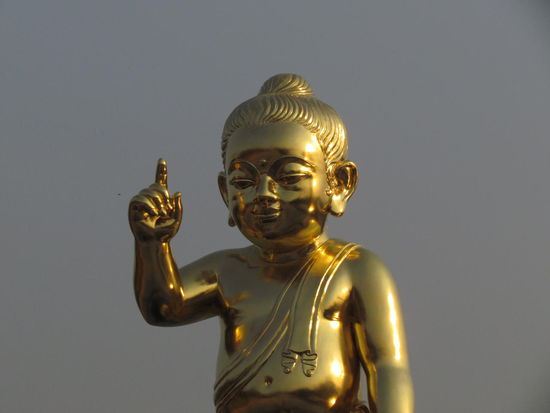 Baby Buddha