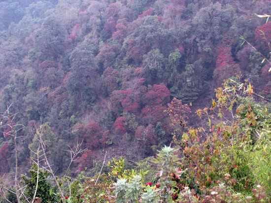 Farbtupfer in den Berghängen