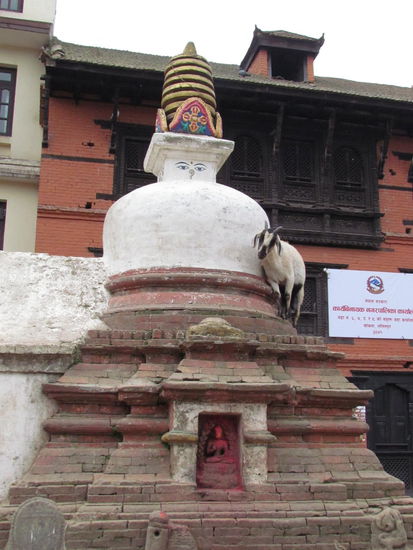 von Ziegen eroberter Tempel