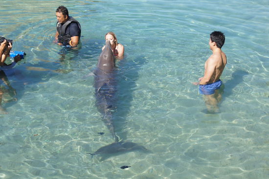 Am Hotelgelände befindet sich auch ein Delphinarium