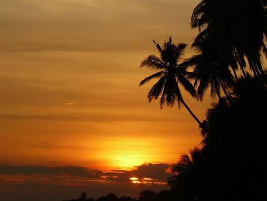 Sonnenuntergang auf Bohol