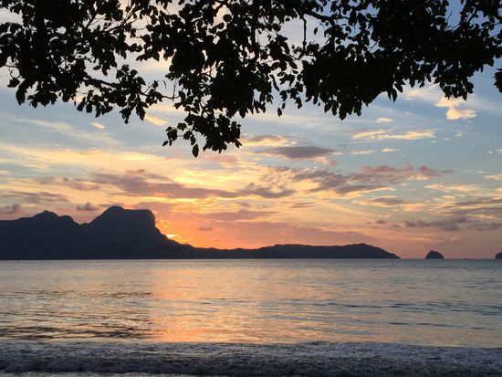 Der Blick von der Hängematte