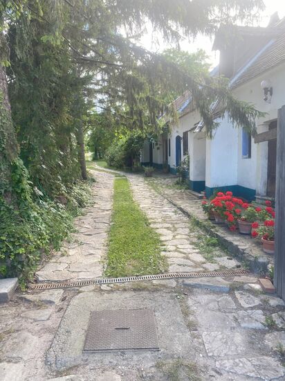 Auffahrt zur Wiese vom Campingplatz