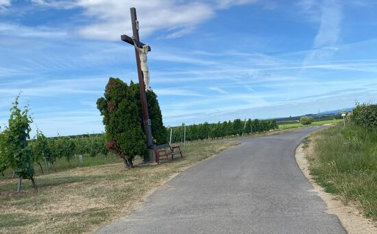 Dieses Kreuz hat seinen Ursprung in den letzten Tagen des zweiten Weltkrieges. Damals, beim Einmarsch der russischen Armee, bedienten ein deutscher Oberfeldwebel, ein Feldwebel und fünf Soldaten an diesem strategisch günstigen Punkt, an dem heute das Martonkreuz steht, ein Panzerabwehrgeschütz. Als sie sich russischen Soldaten ergeben mussten, fragten diese nach ihrer Nationalität. Die beiden Deutschen, der Oberfeldwebel und der Feldwebel, wurden auf der Stelle erschossen. Die fünf Österreicher, unter ihnen drei Deutschkreutzer, trieb man nach Girm, wo sie in eine Kammer gesperrt wurden. Während die Russen im Haus aßen und ausgiebig Wein tranken, konnten die Gefangenen entkommen. Einer von ihnen war Michael Marton, der damals gelobte, ein Kreuz stiften zu wollen, falls er und seine Familie jene unsichere Zeit überleben würden.
[Abschrift von der Inschrift]