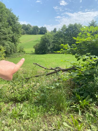 von da bin ich gekommen 