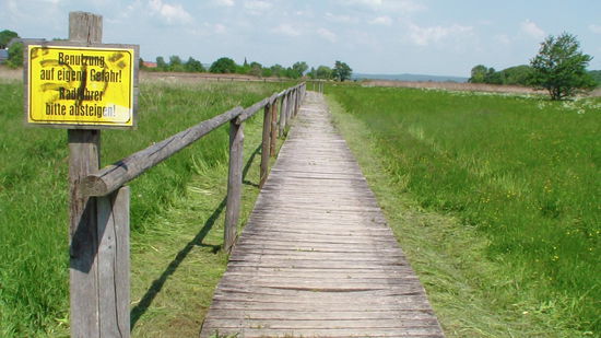 ...bin ich auf dem Holzweg ????