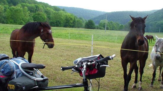 .... an Pferdewiesen vorbei!