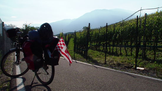 ....durch die Weinberge...