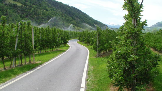 ....die Duschen sind schon zu sehen ... 