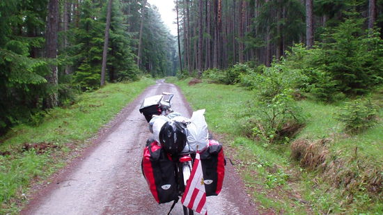 .....dichtes Waldgebiet!!