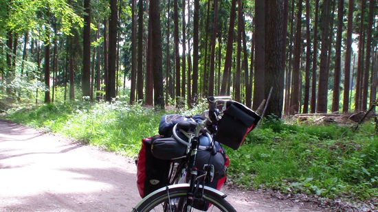 .....verfahren im Wald!!