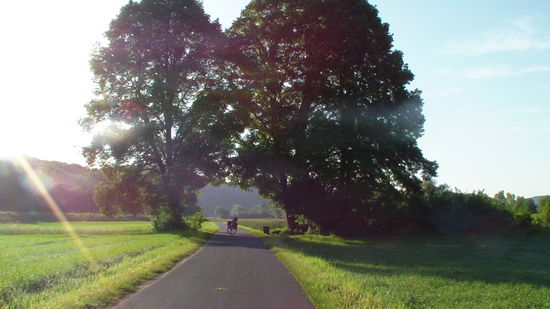 ....auf dem Mainradweg