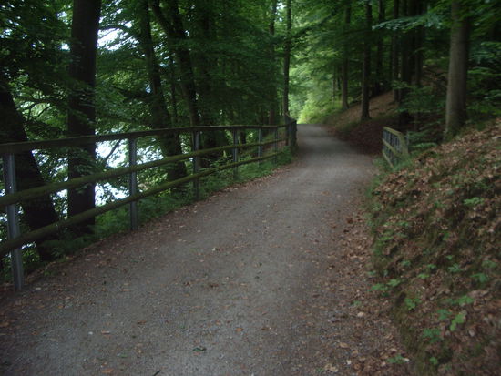 abwechslungsreiche Strecke!