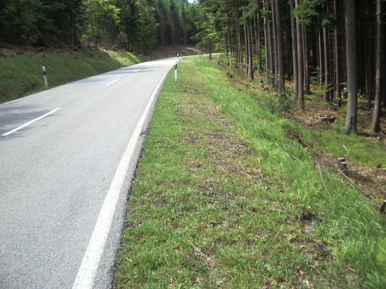 lange Strecke nach oben!!!! 