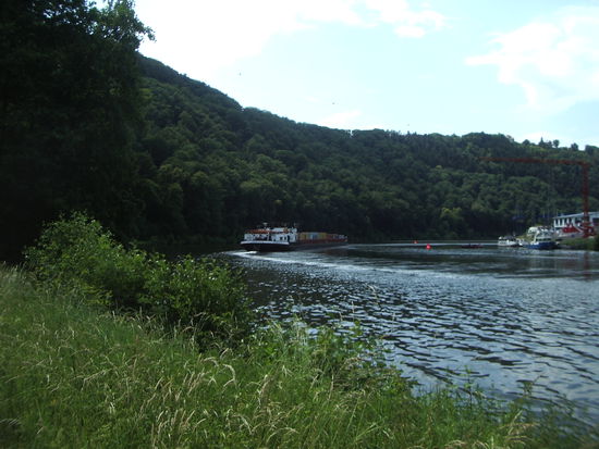 Nackarradweg Richtung Heidelberg