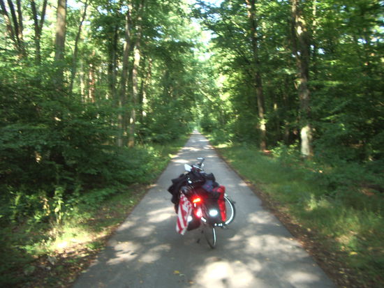 durch den Hockenheimer Wald