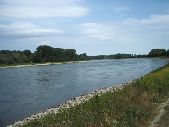 der breite Rhein