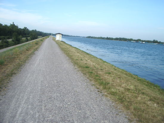 gerade Rheinstraßen