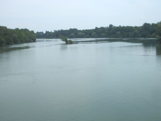 einsamer Rhein