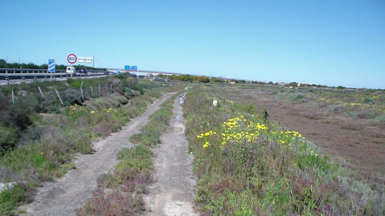 Parallelweg zur Autobahn