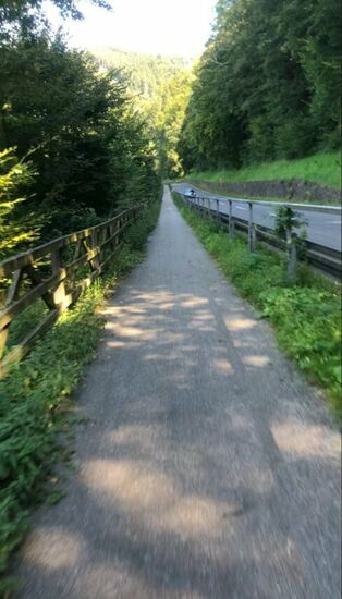 Es ging eine ganze Weile recht unspektakulär weiter, immer an der rechten Seite der Donau mit schnellen Tempo über den Radweg.