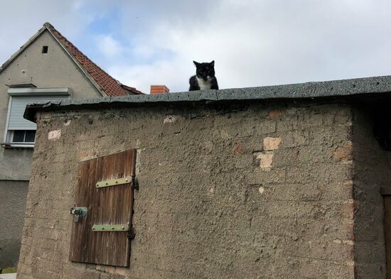 Manchmal fühlte ich mich über den Dächern der Provinzen beobachtet.