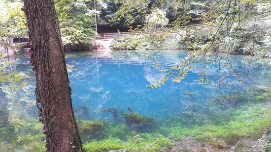 Der Blautopf