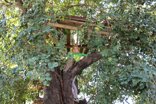 Ronja im Kletterbaum bei unserer Ferienwohnung