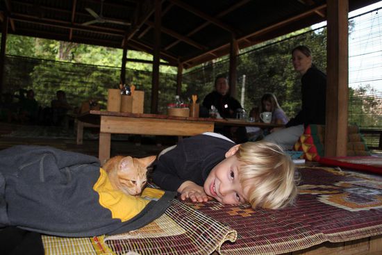 Die Katzenkinder waren das Highlight und ein schöner Zeitvertreib für unsere beiden Kinder.