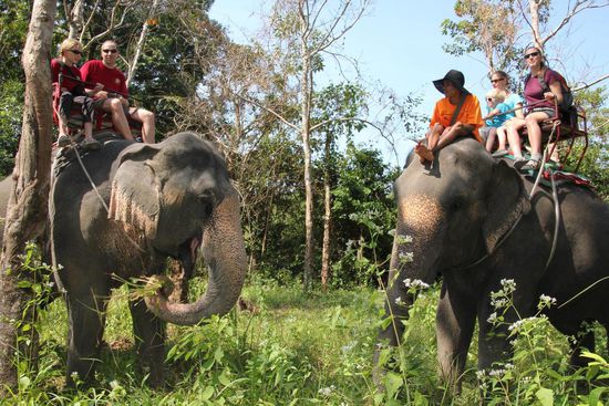 Ein Spaziergang auf Elefanten ist eine schaukelige aber schöne Angelegenheit.