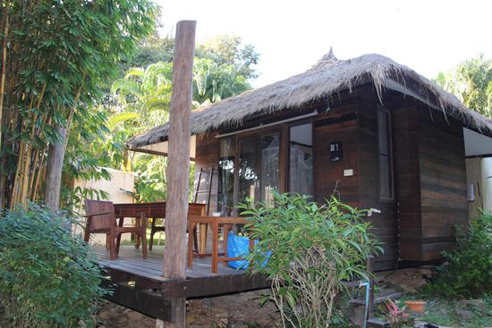 Unsere Bungalows lagen schön zwischen Palmen und Bambus versteckt.