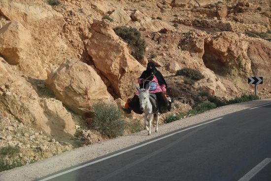 Esel sieht man in Marokko viele. Sie sind immernoch als Transportmittel unabdingbar.