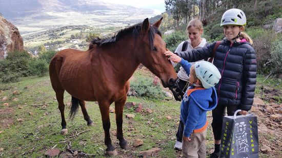 In Betis laufen die Tiere mehr oder weniger frei herum. Das gefällt nicht nur den Tieren, sondern uns auch.